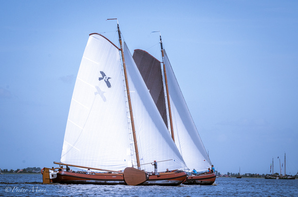 Race with historic sailing boats, the Netherlands.